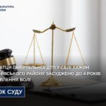 Винуватця смертельної ДТП у селі Хажин Бердичівського району засуджено до 4 років позбавлення волі