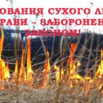 Уся правда про спалювання сухої трави та листя – ГУ ДСНС Житомирщини
