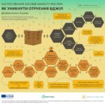 Як пасічнику запобігти отруєнню бджіл: покроково